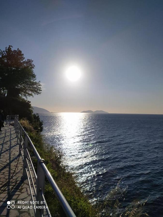 Renissa's * Vlore