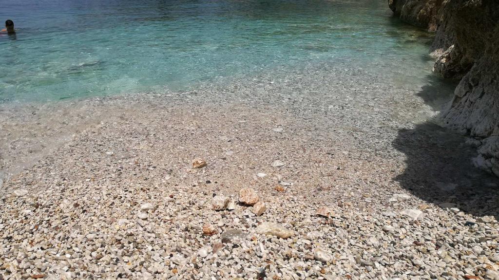 Renissa's * Vlore