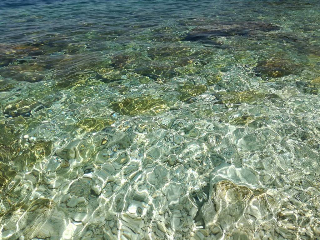 Renissa's Vlorë